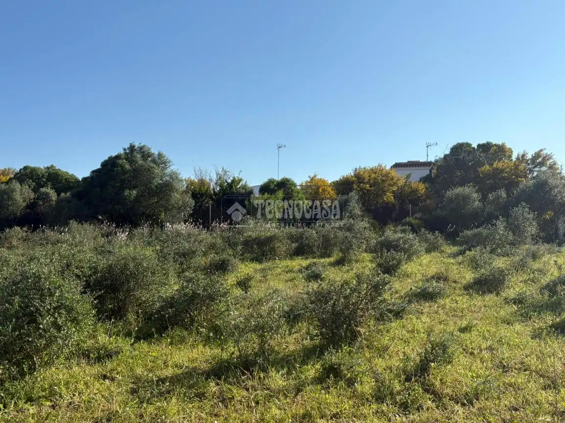 Terreno rustico in vendita a Barbate ciudad, imagen 20