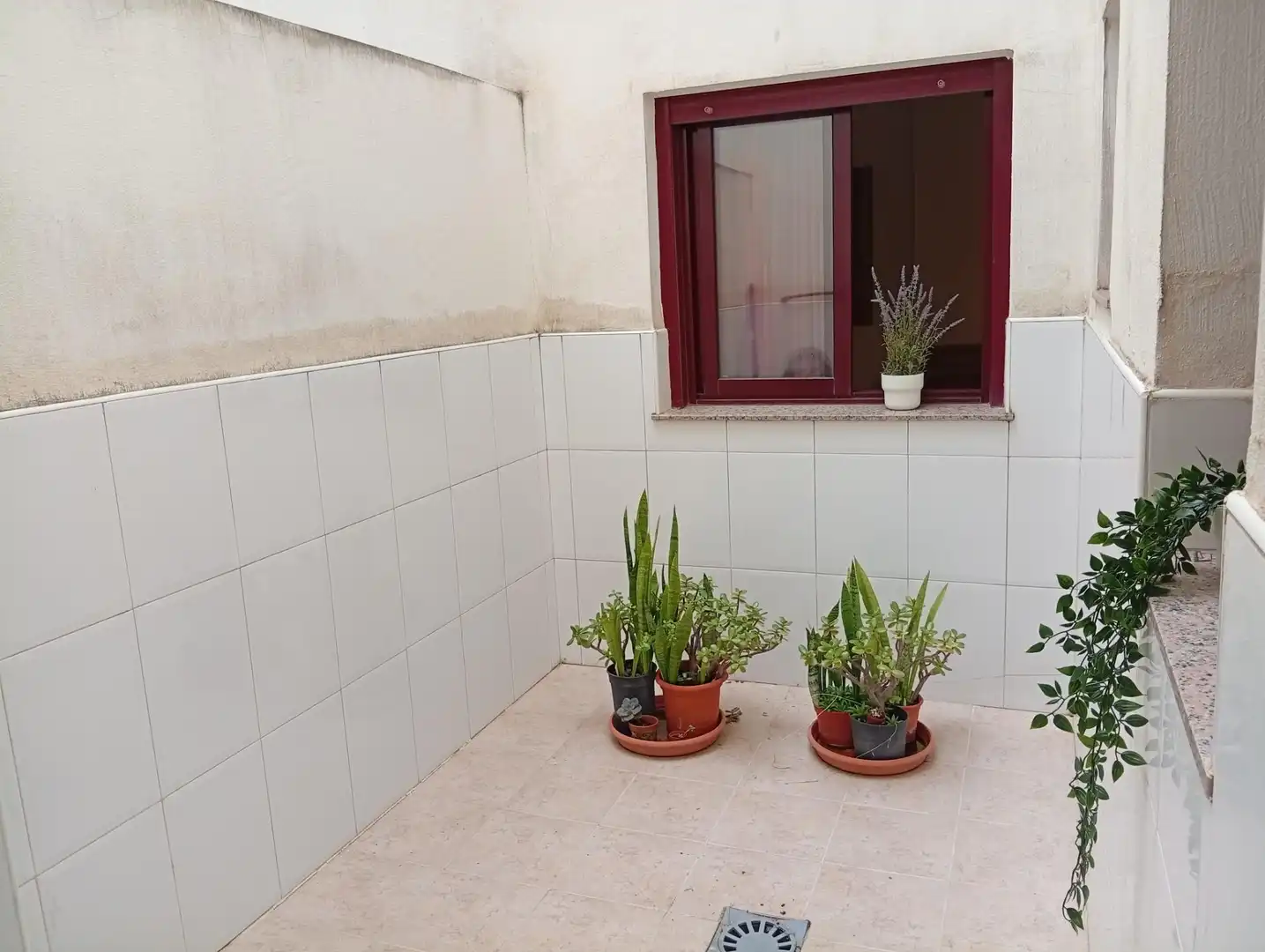 Wohnung mit Terrasse zum Verkauf in Fortuna, imagen 6