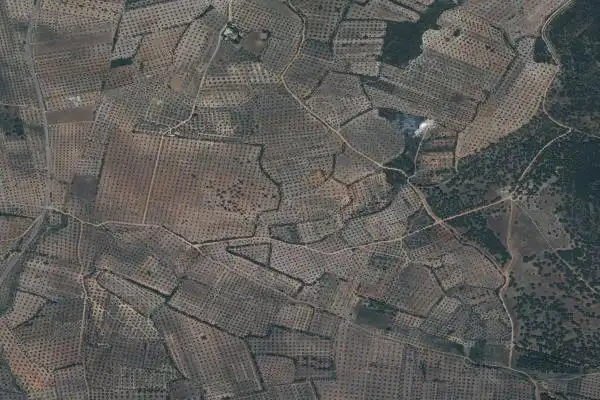 Finca rústica en venta en Piedrabuena