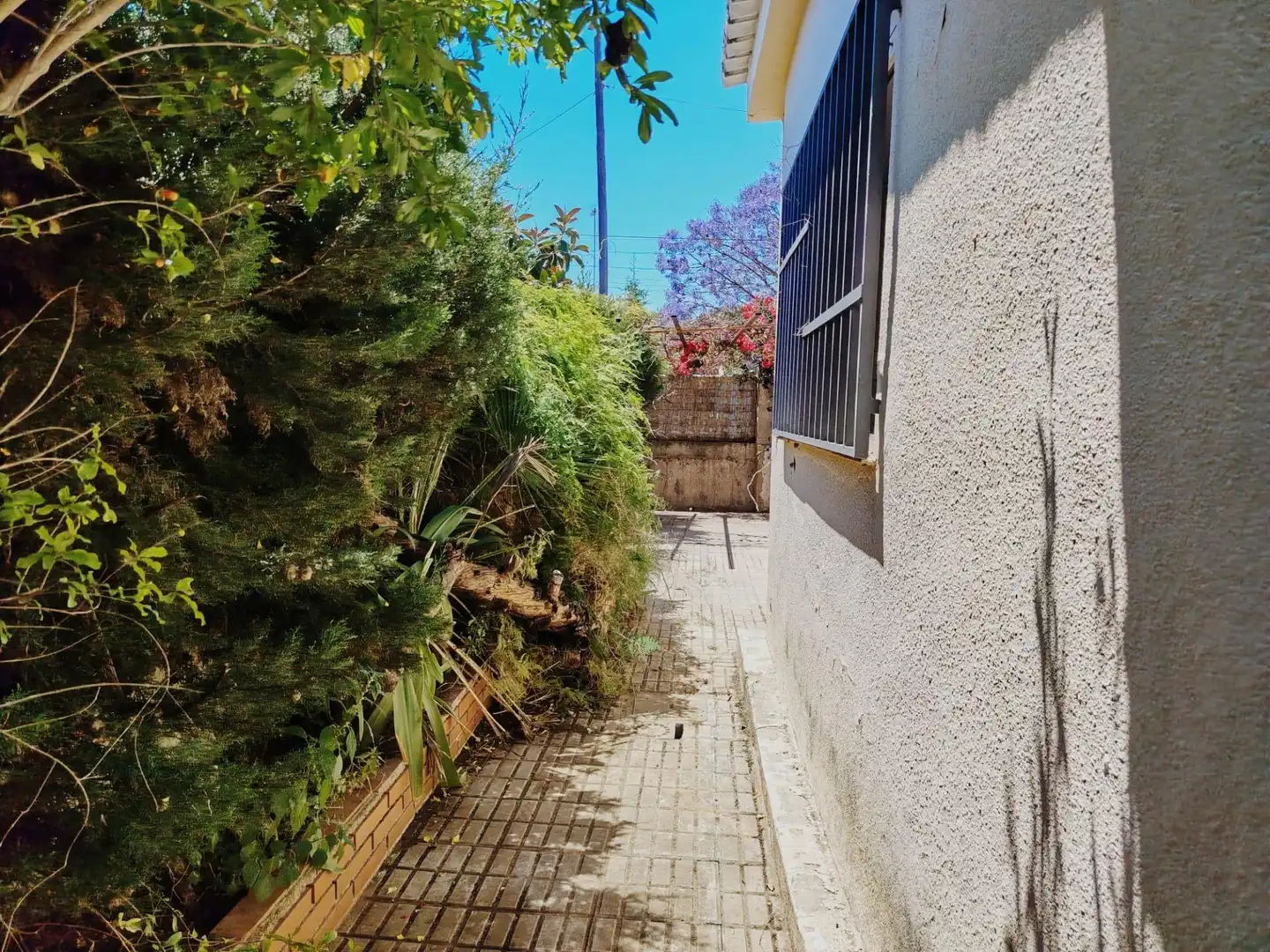 Casa o chalet en venta en Calle 123, Moncada