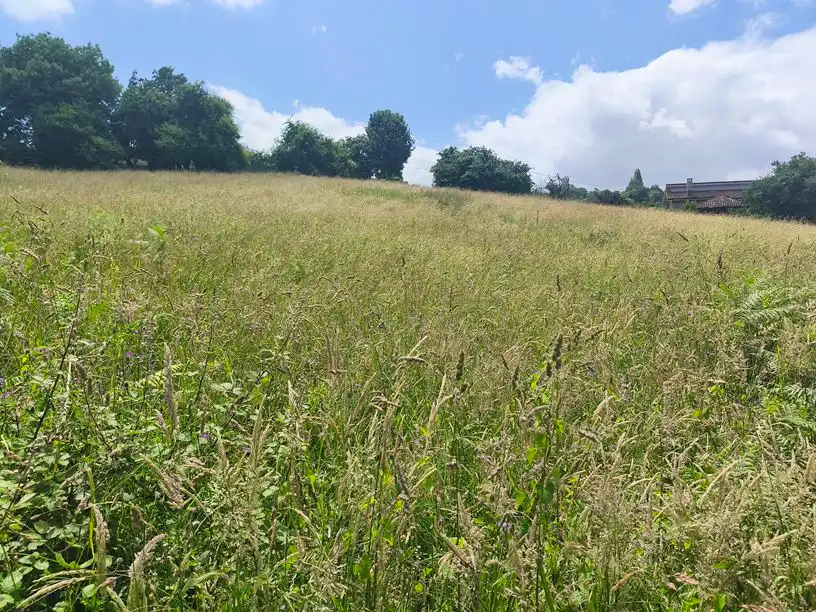 Terreno residenziale in vendita a Parroquias Sur - La Manjoya, imagen 11