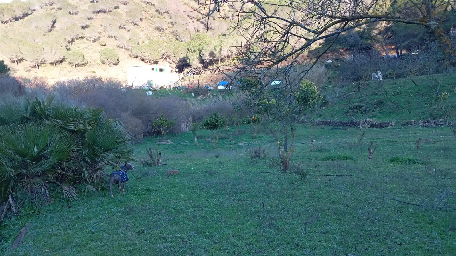 Casa rustica in vendita a Camino Los Guaperos , Paraje Majada Llana,, imagen 10