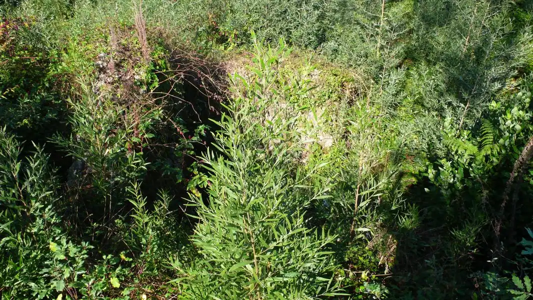 Terreni e lotti in vendita a Ramorta de Arriba, imagen 7