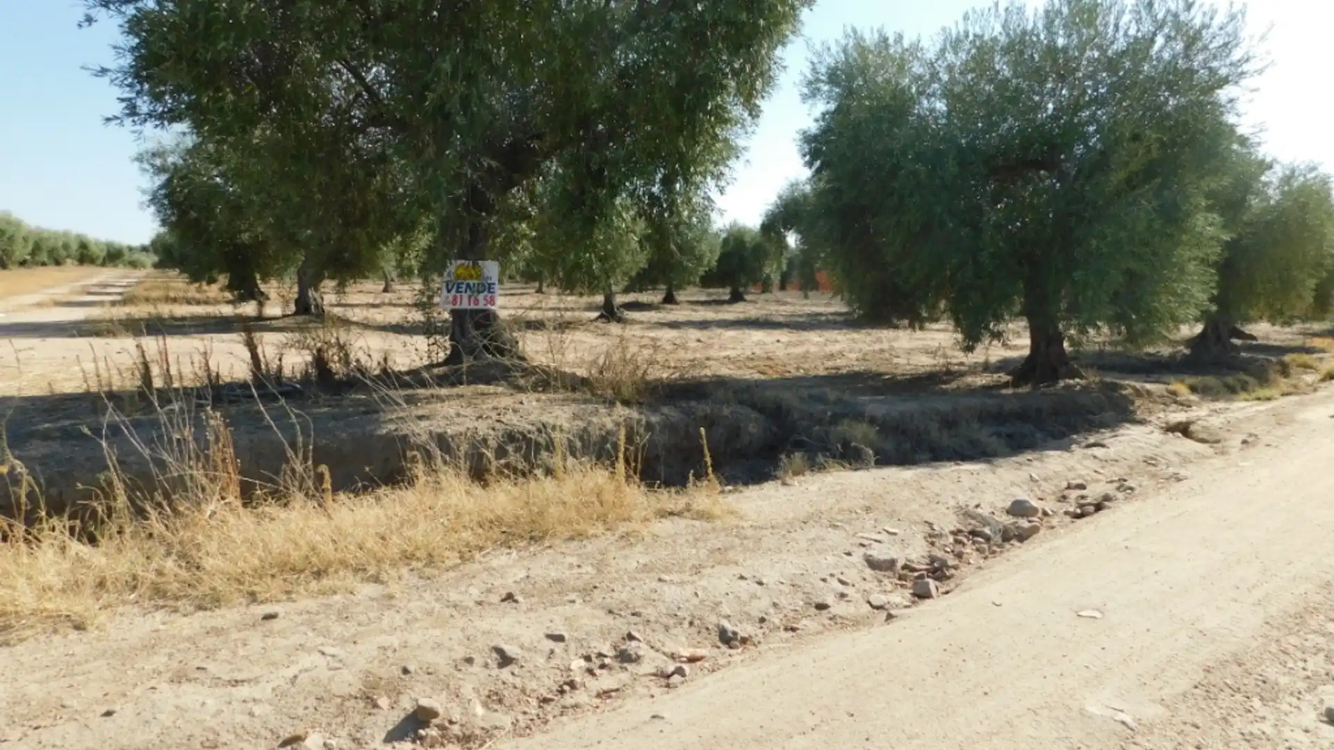 Terreno en venta en La Haba 