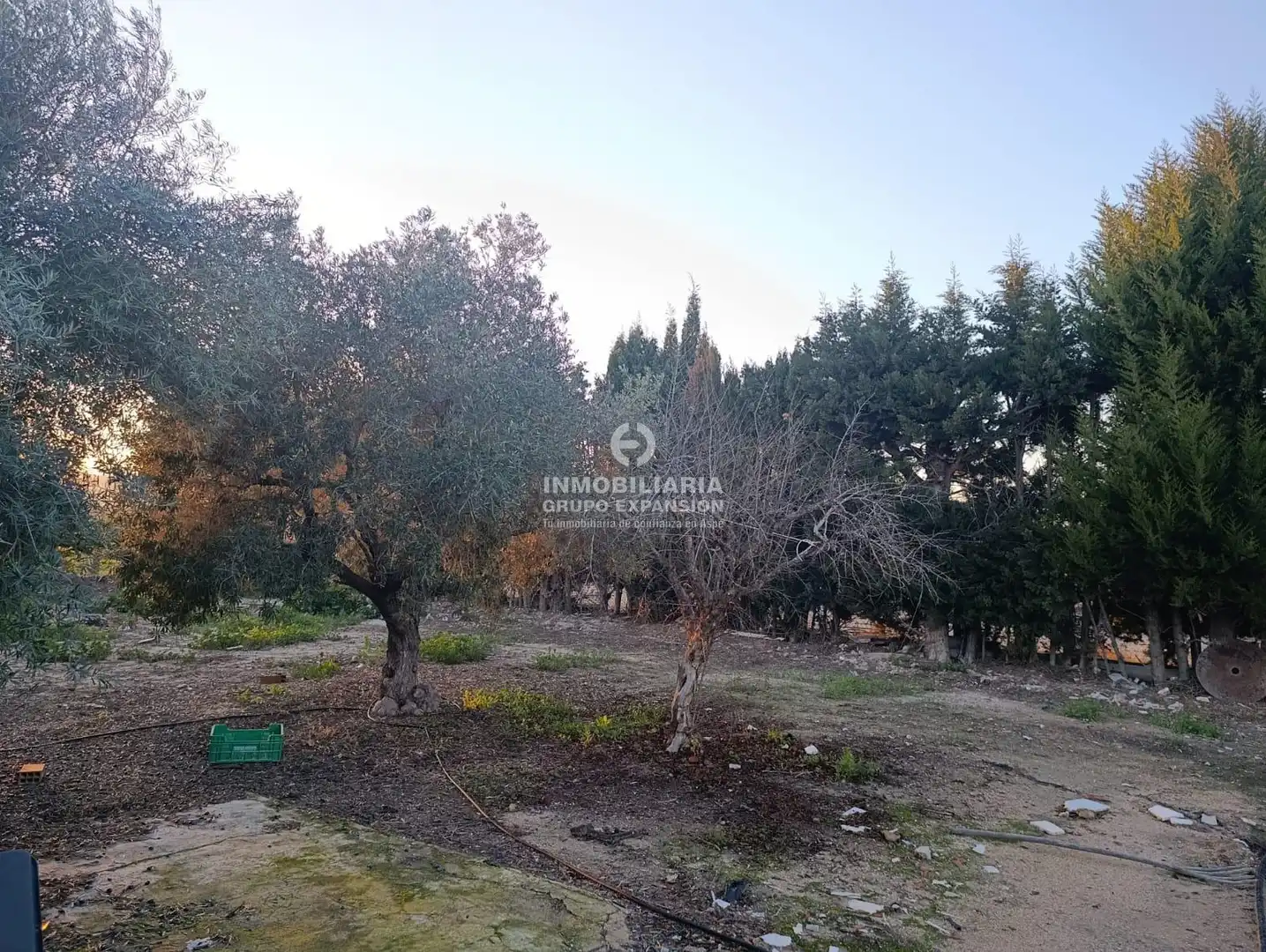 Casa o chalet en venta en Novelda con Piscina