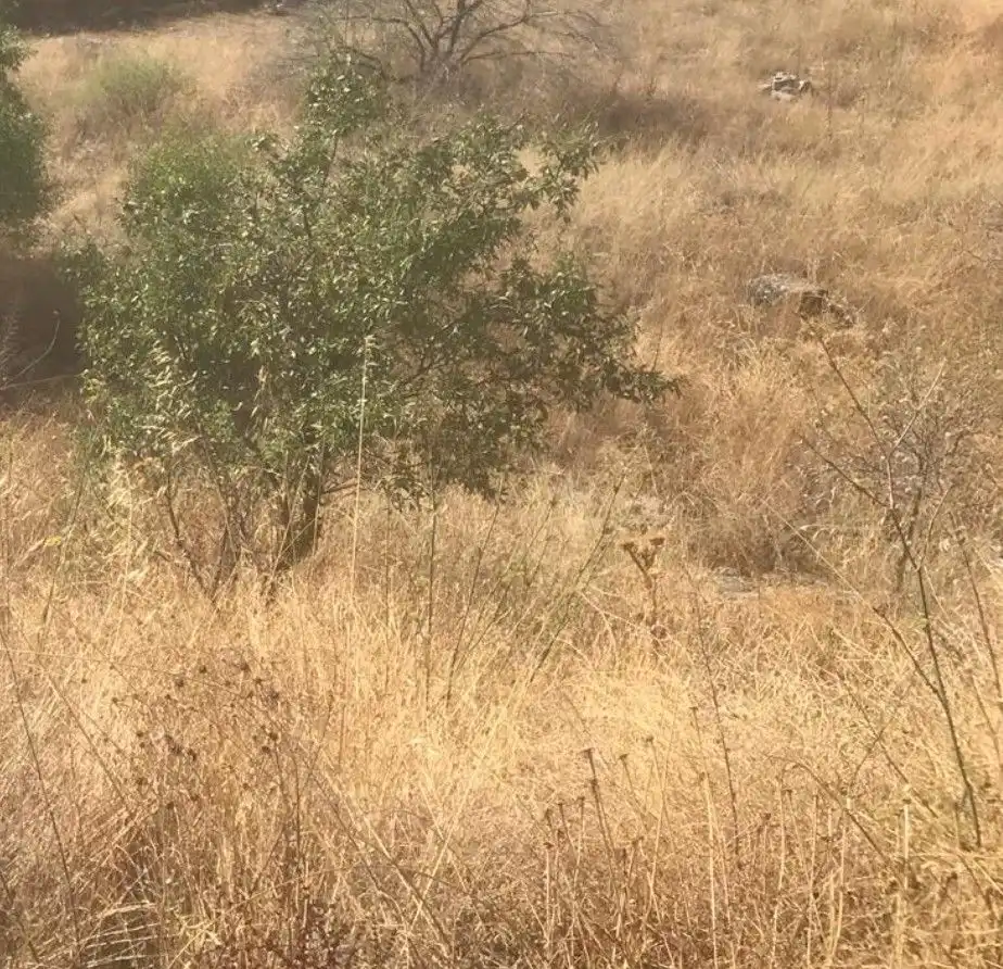 Finca rústica en venda en Orusco de Tajuña