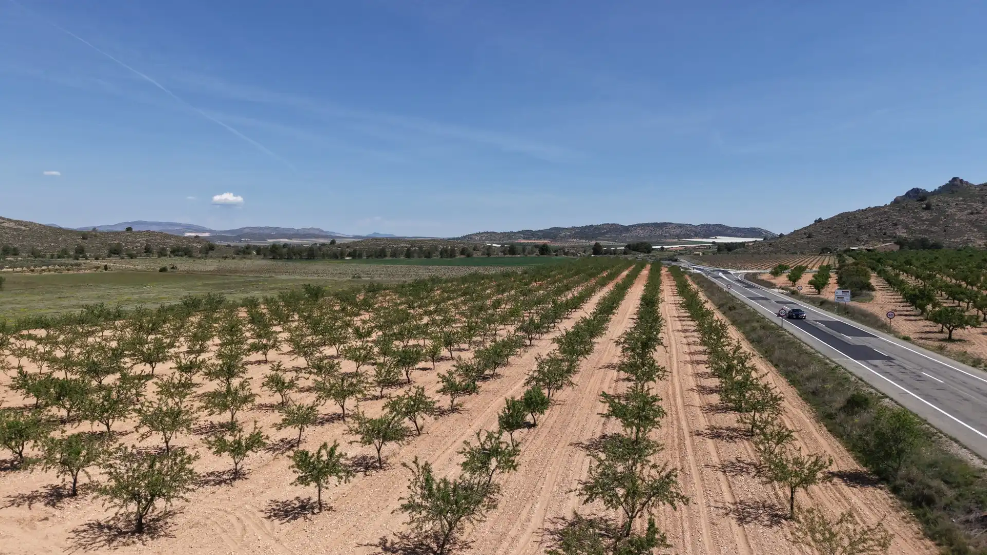 Residential land for sale in Yecla, imagen 4