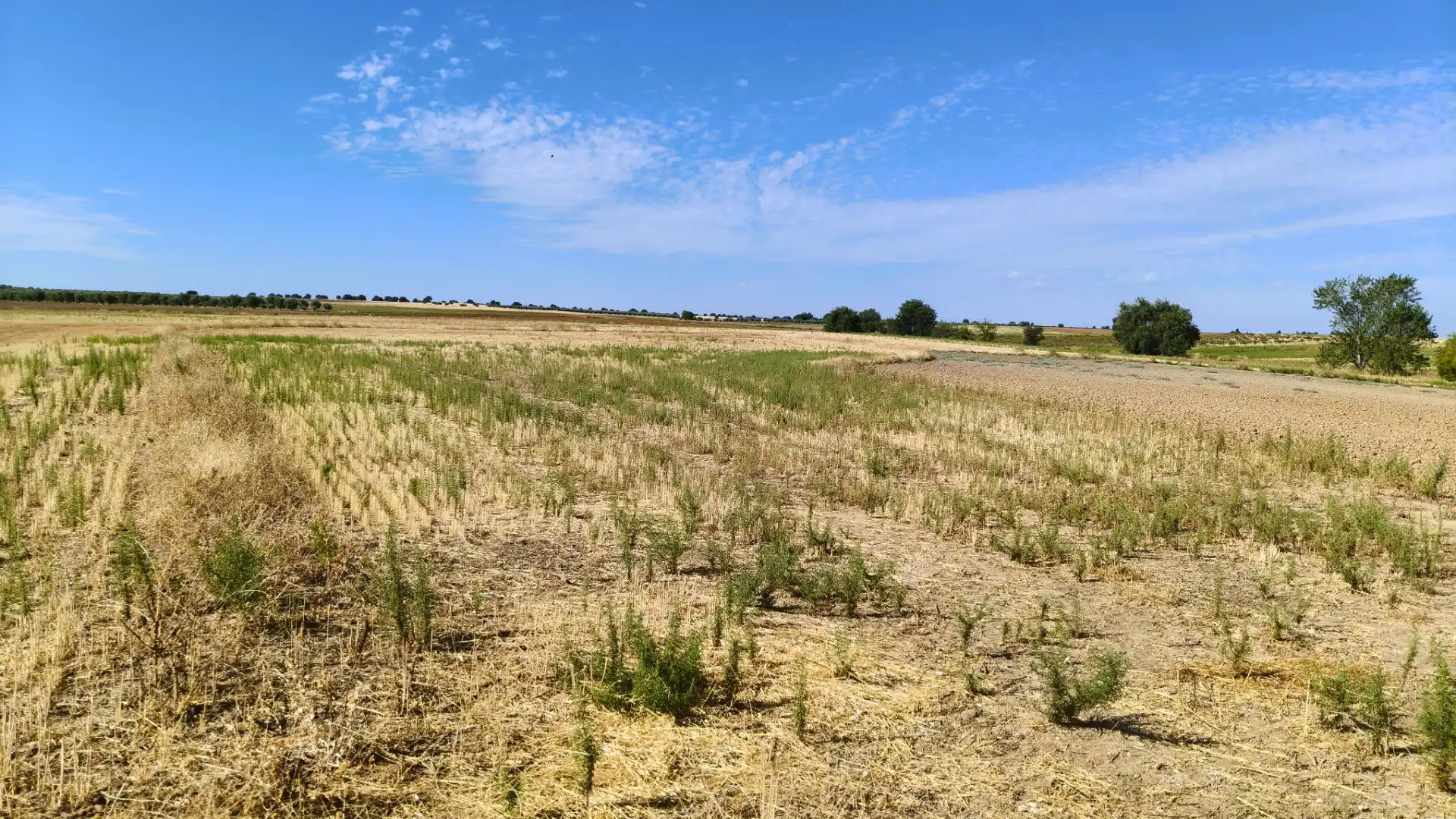 Rural land for sale in Santa Olalla, imagen 6