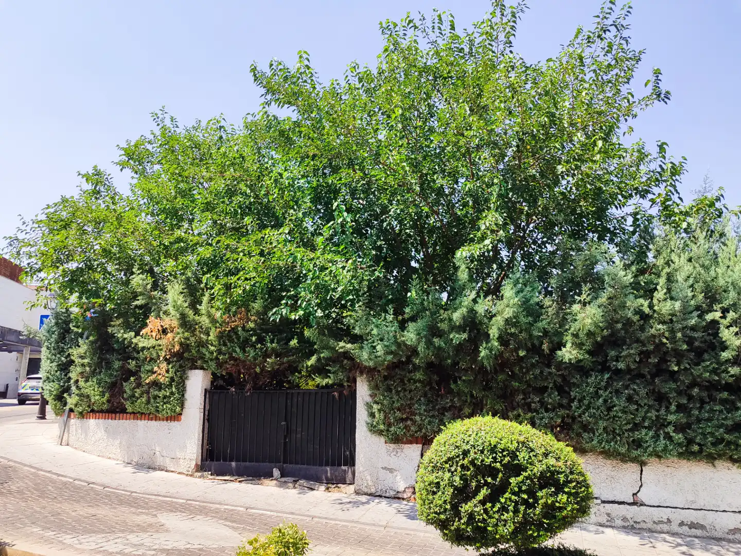 Villa mit Garten zum Verkauf in Calle Álamo 3, imagen 52