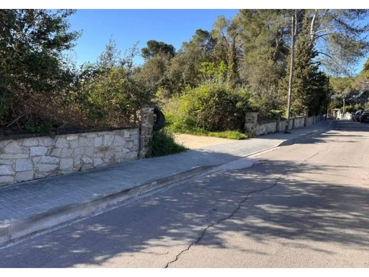 Terrain rustique à vendre à Calle Cedre