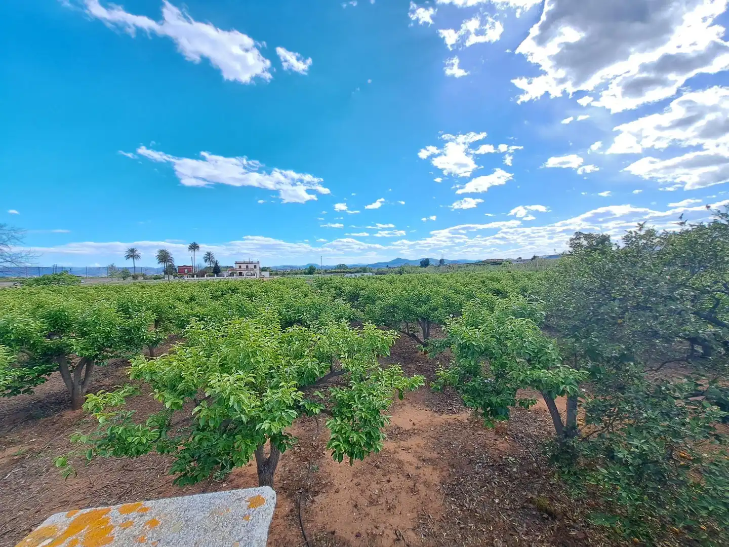 Finca rústica en venta en La Pobla Llarga con Jardín privado, Terraza y Trastero