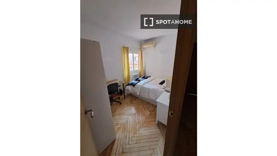 Room in Palacio