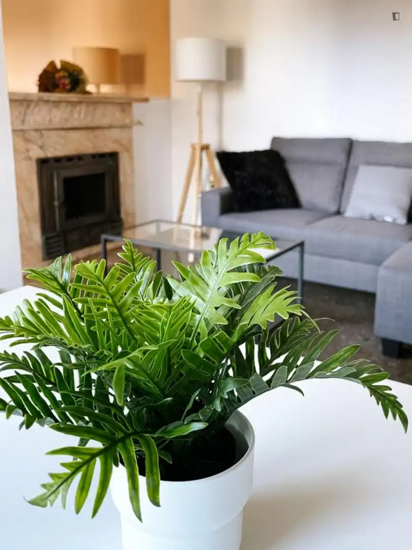 Apartamento de alquiler en Mont-Olivet