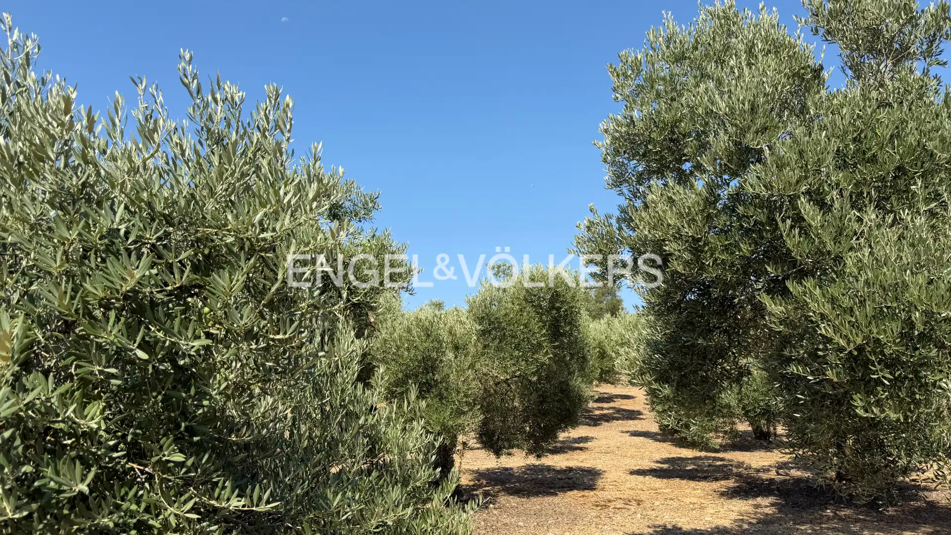 Land for sale in Pedret i Marzà