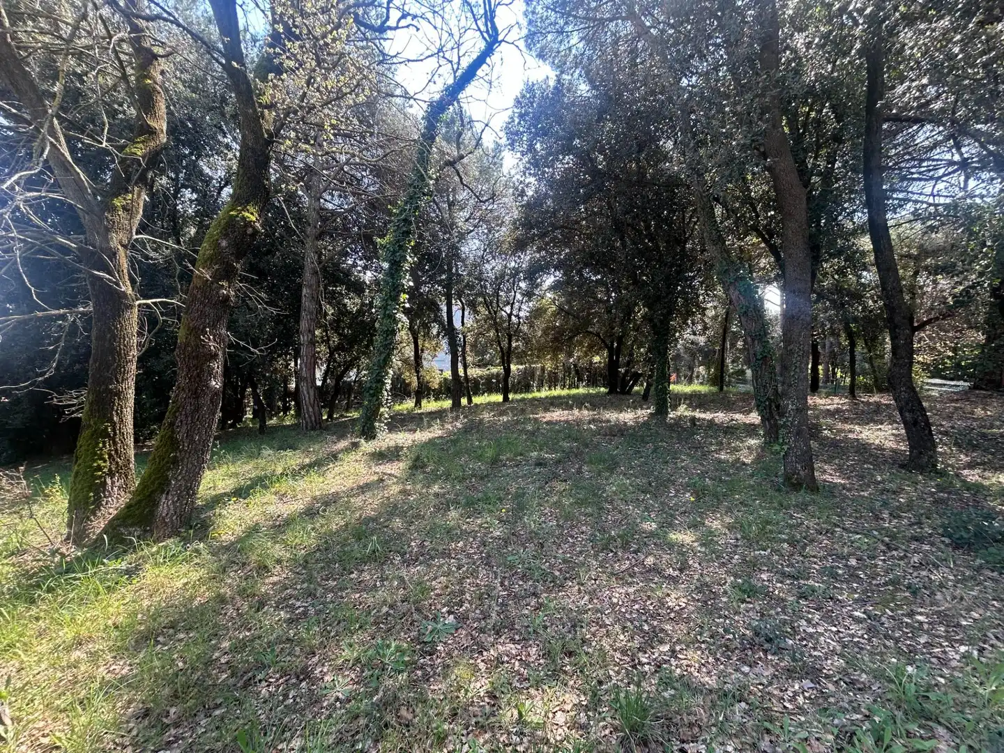 Residencial en venta en Sant Antoni de Vilamajor