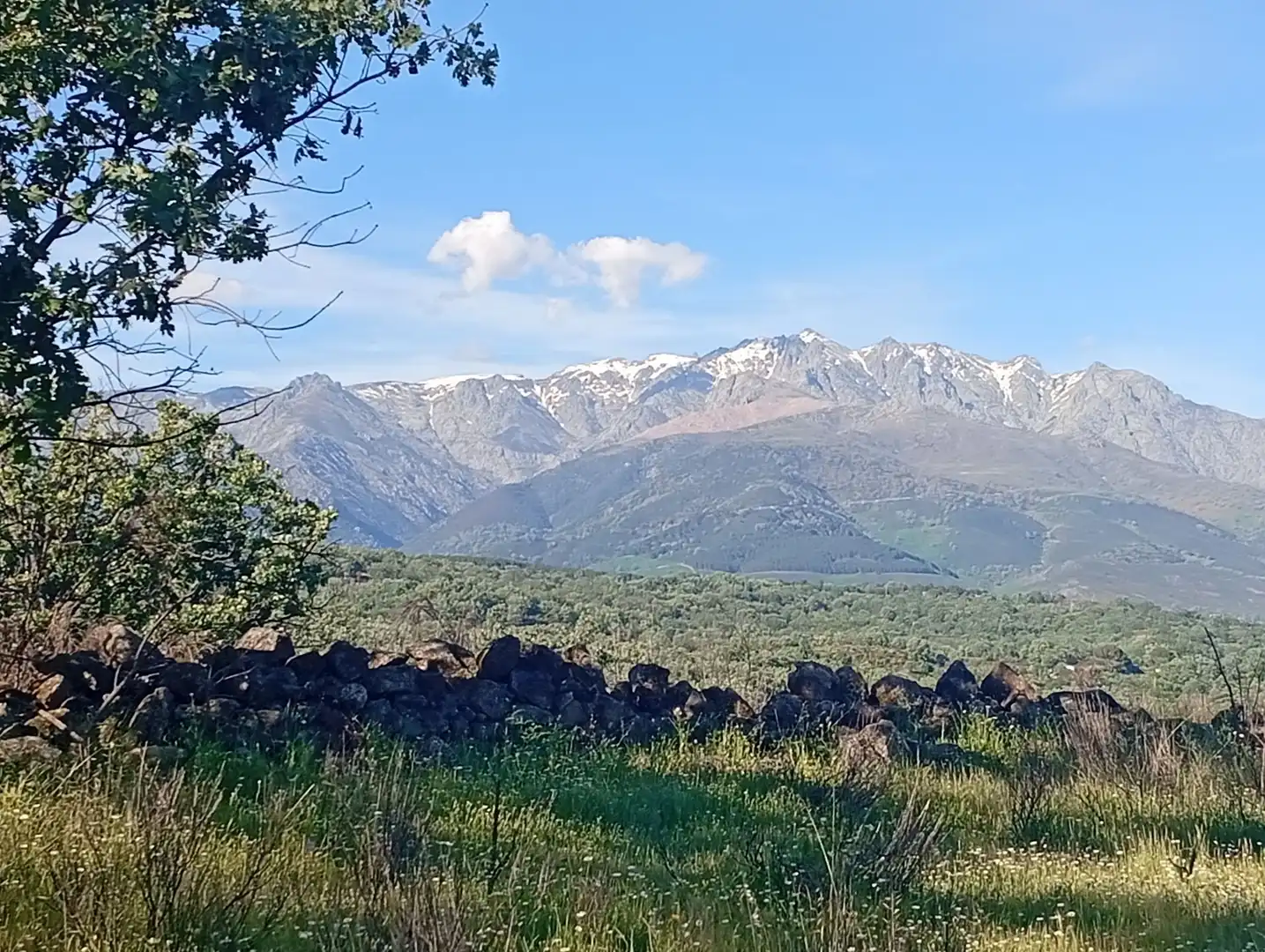 Terreni e lotti in vendita a Villanueva de la Vera, imagen 3
