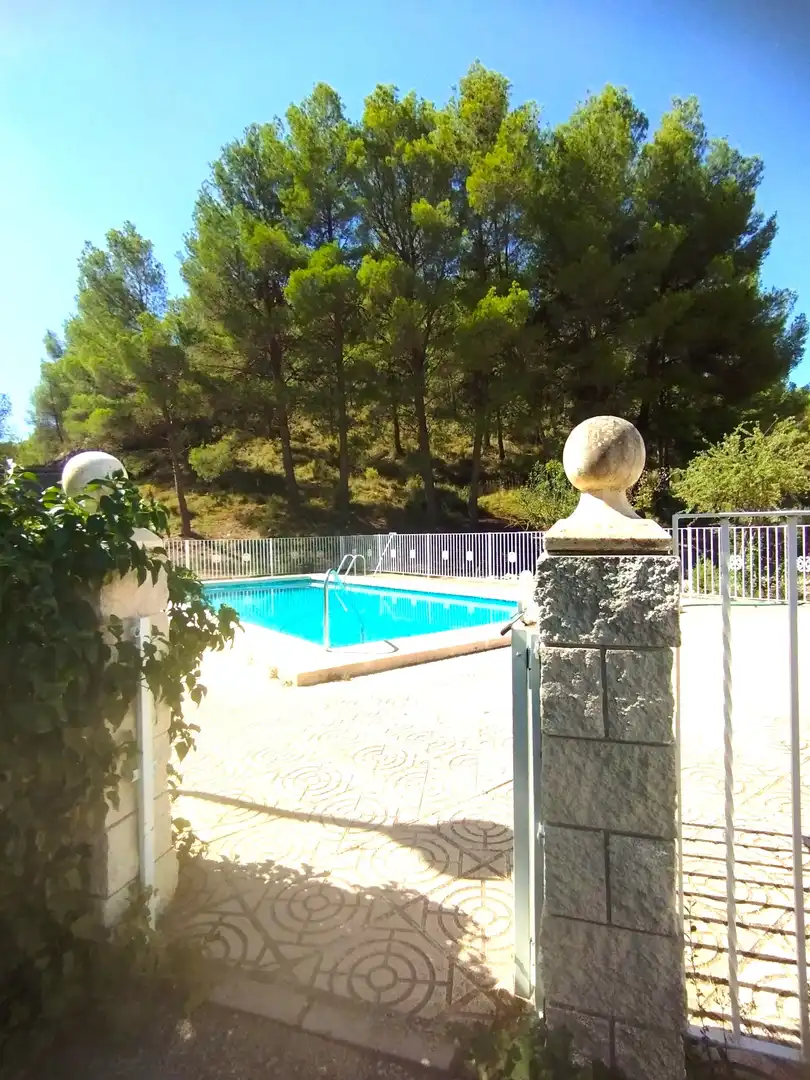 Swimming pool of Houses for sale in Petrer  with Private garden and Swimming Pool
