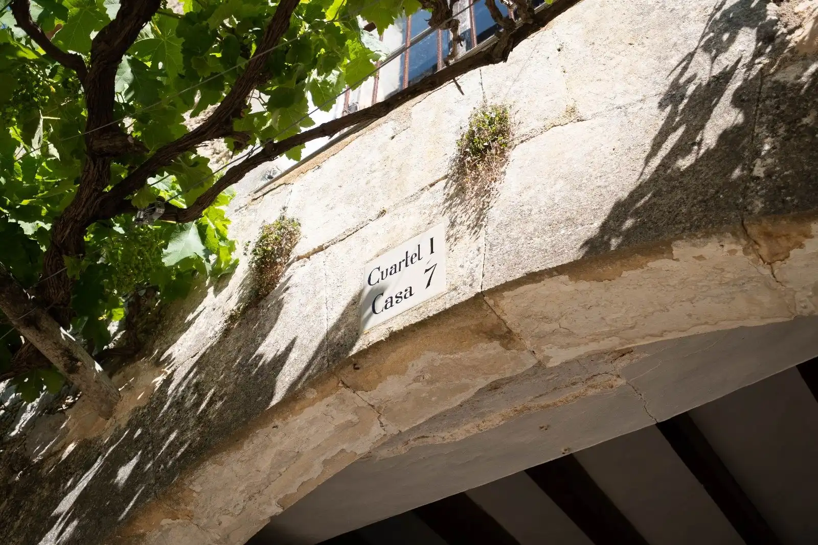 Vista exterior de Finca rústica en venta en Escorca con Jardín privado, Terraza y Trastero