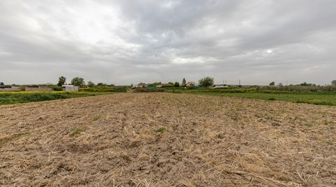 PARCELA RÚSTICA DE 3.500 M2 EN SANTA FE, immagine 3