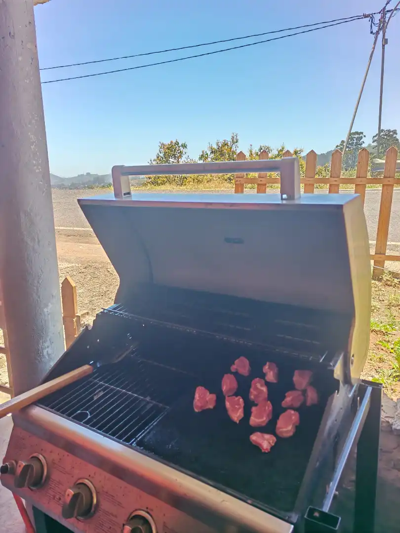 Vista exterior de Finca rústica en venta en Santa María de Guía de Gran Canaria con Amueblado