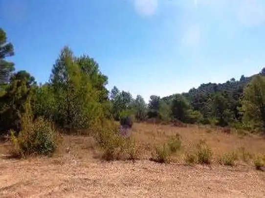 Terreni e lotti in vendita a Villanueva del Arzobispo, imagen 4