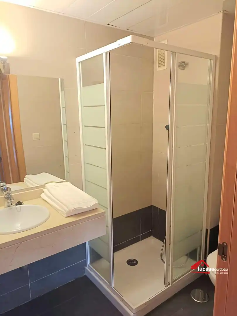 Bathroom of Flat for sale in Córdoba  with Air Conditioner, Storage room and Community pool