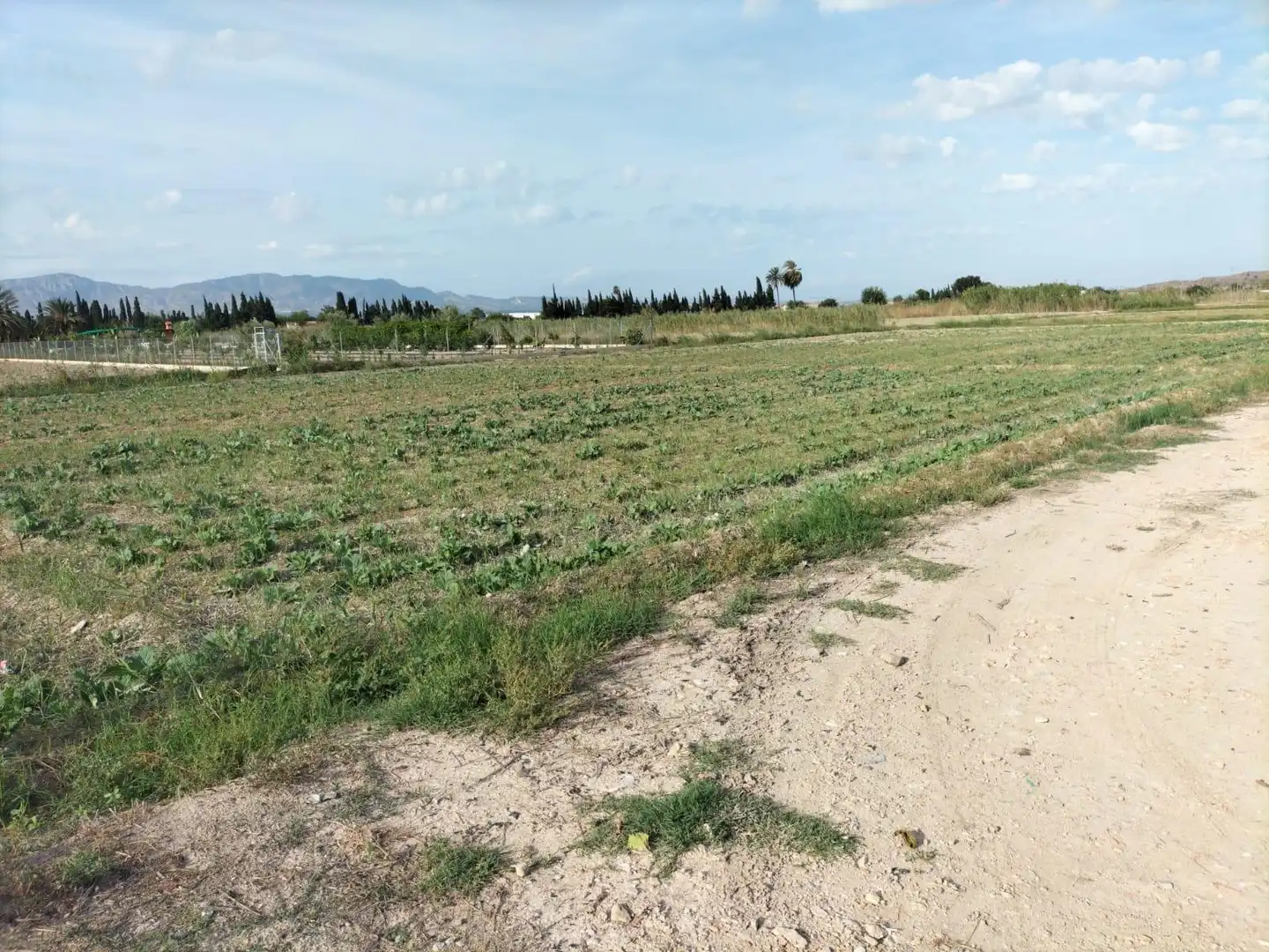 Rural land for sale in Cox, imagen 4