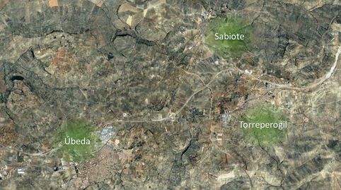 Foto 5 de Terreny en venda a Polígono 19, Torreperogil, Jaén