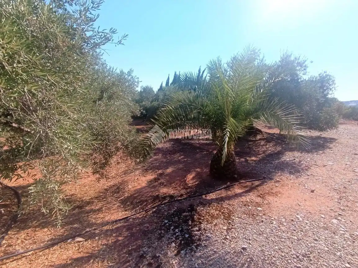Finca rústica en venta en Vilches