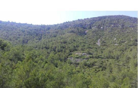Land for sale in Alcalà de Xivert