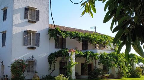 Photo 4 of Country house for sale in El Dossel - Mareny de San Lorenzo, Valencia