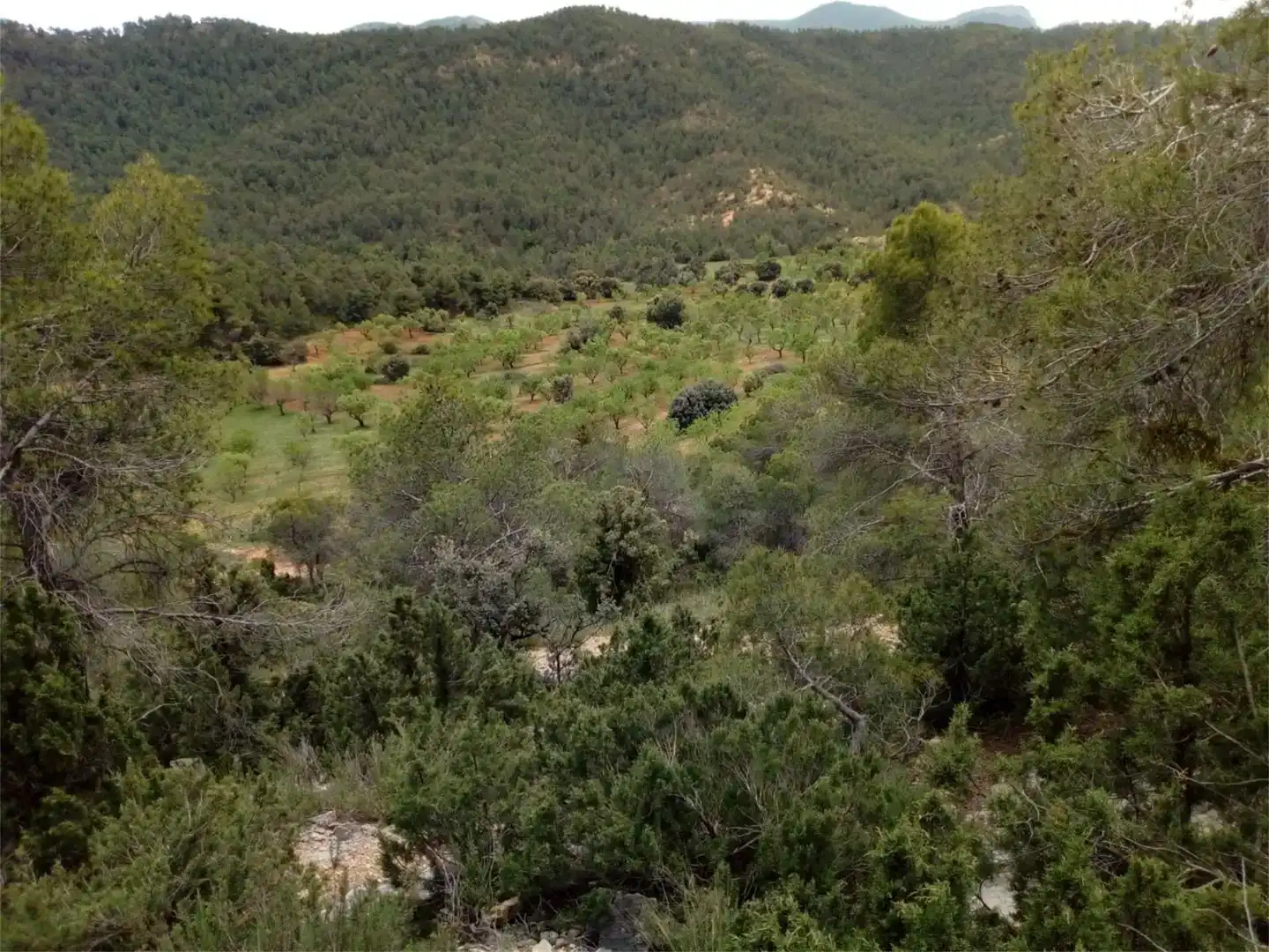 Finca rústica en venda en Fuentespalda