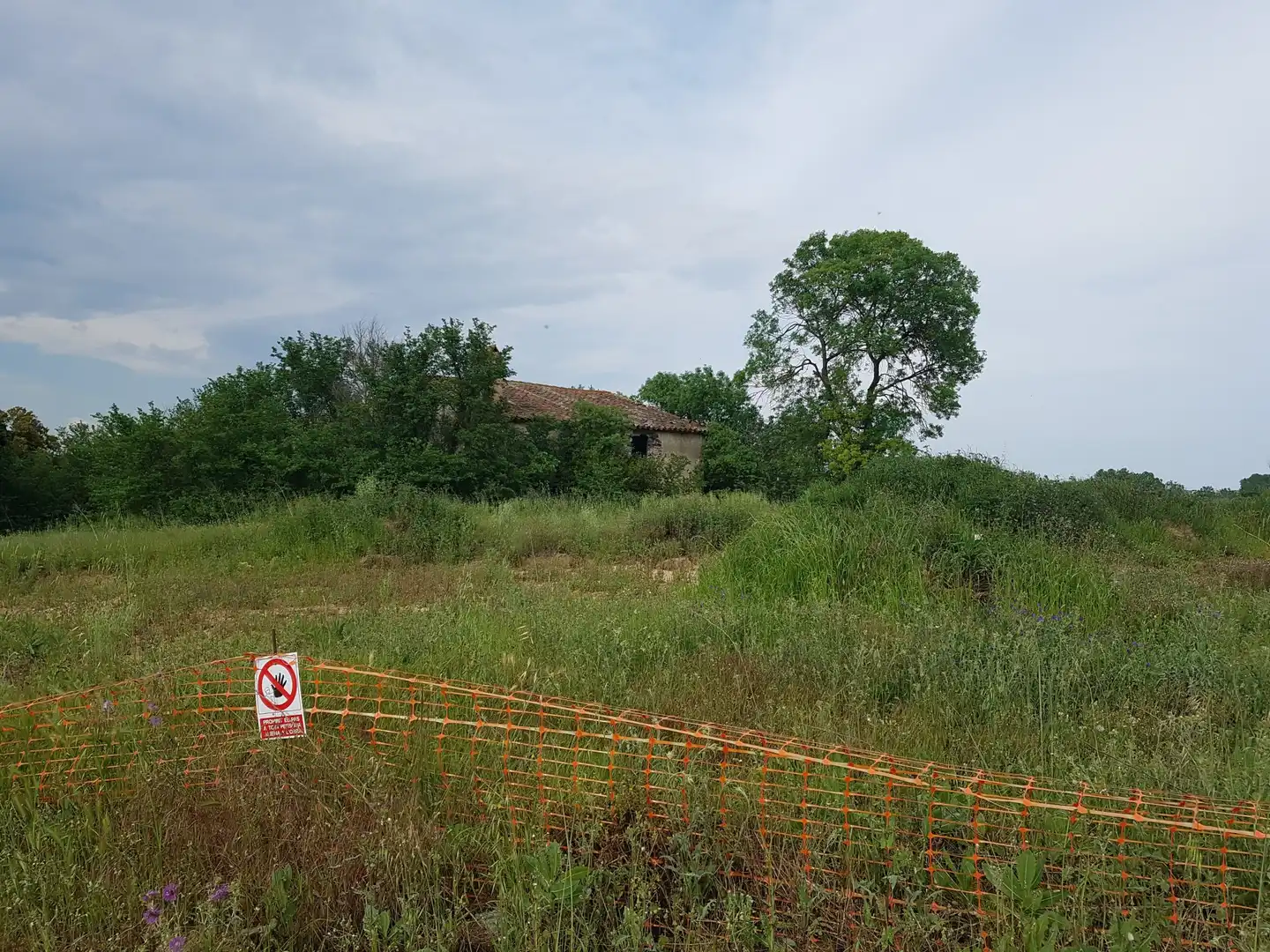 Finca rústica en venta en Pinós
