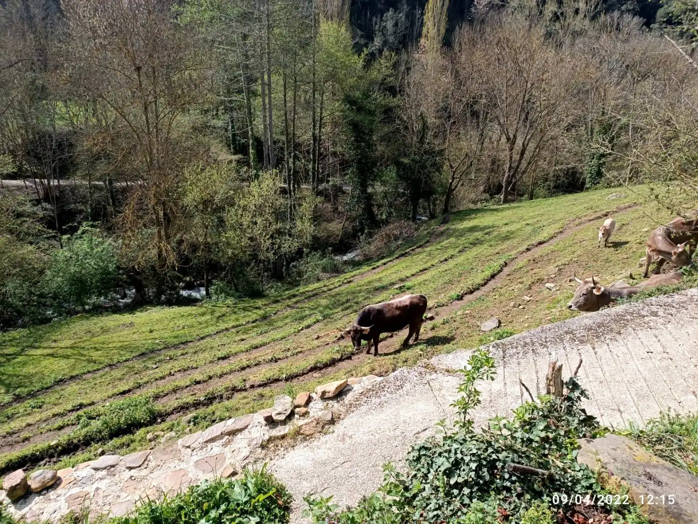 Exterior view of Residential for sale in Cabezón de Liébana