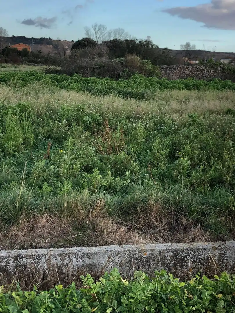 Terreno en venta en  Logroño