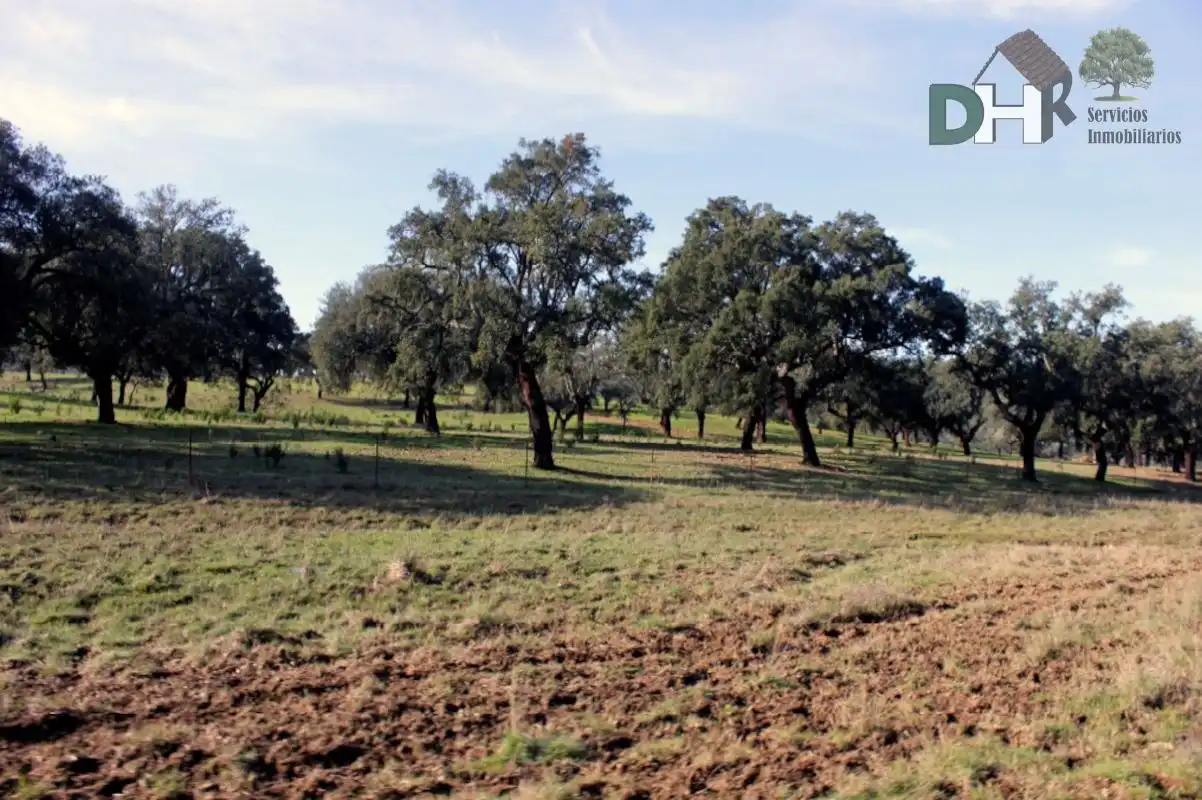 Terreni e lotti in vendita a Ruta de la Plata, imagen 10