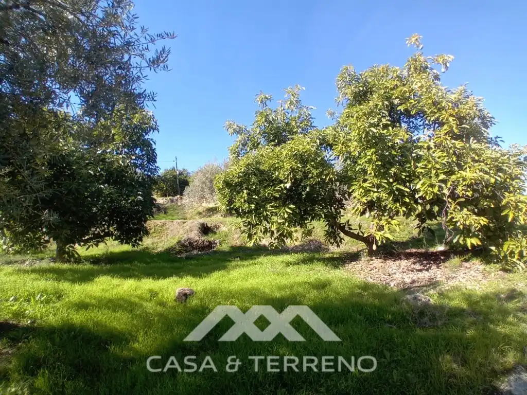 Casa o xalet en venda en Alozaina amb Piscina