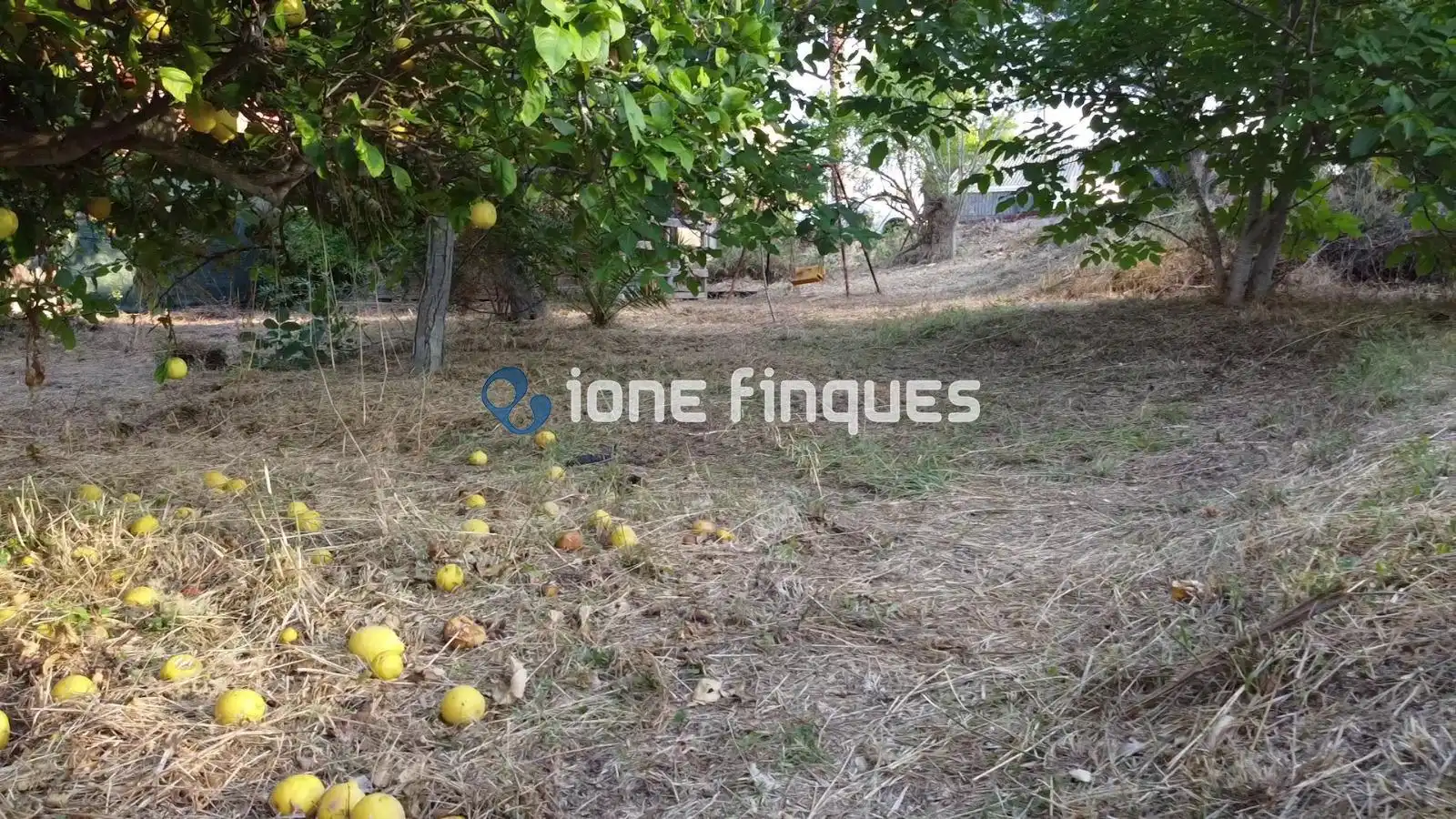 Wohnbaugrundstück zum Verkauf in Nou Vendrell, imagen 11