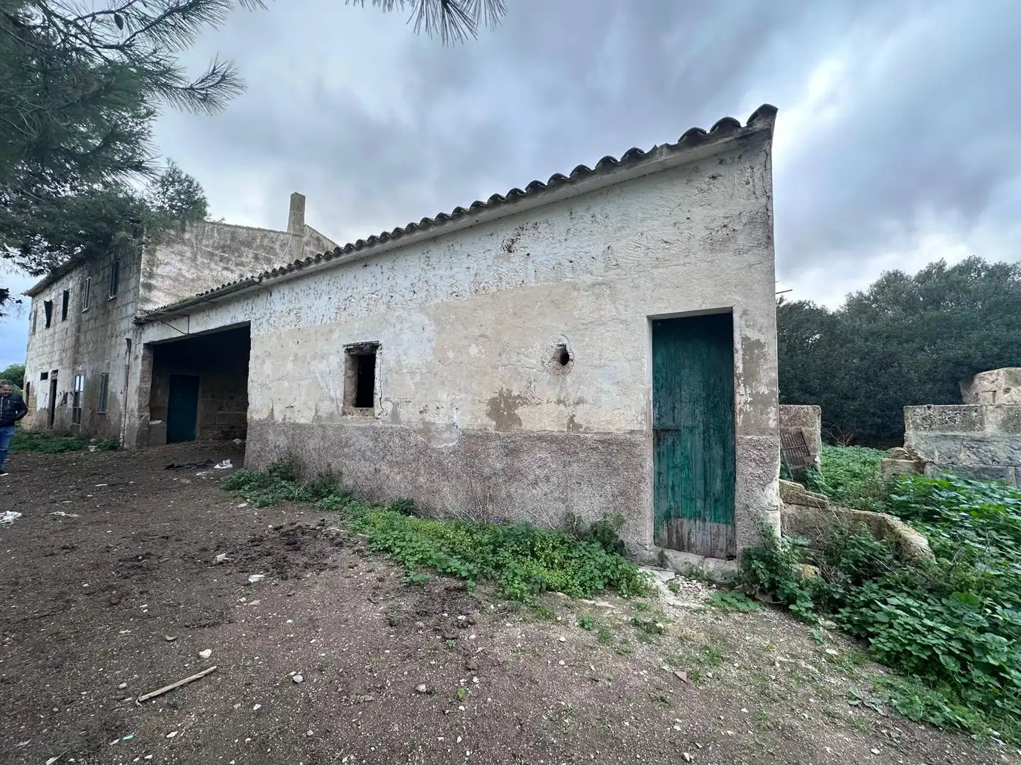 Terreny rústic en venda a Llevant, imagen 3