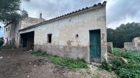 Gran parcela rústica en Son Sunyer., imatge 3