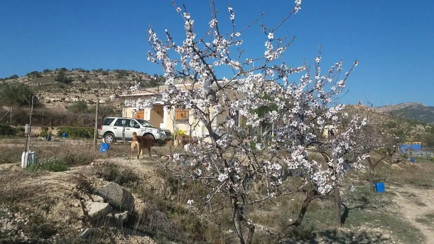 Casa con giardino in vendita a Partida les Macaroves, imagen 8