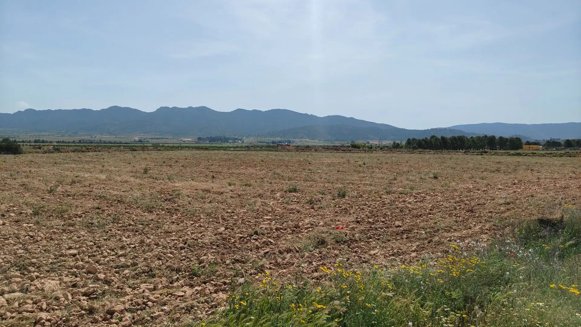 Terreni e lotti in vendita a Yecla, imagen 4