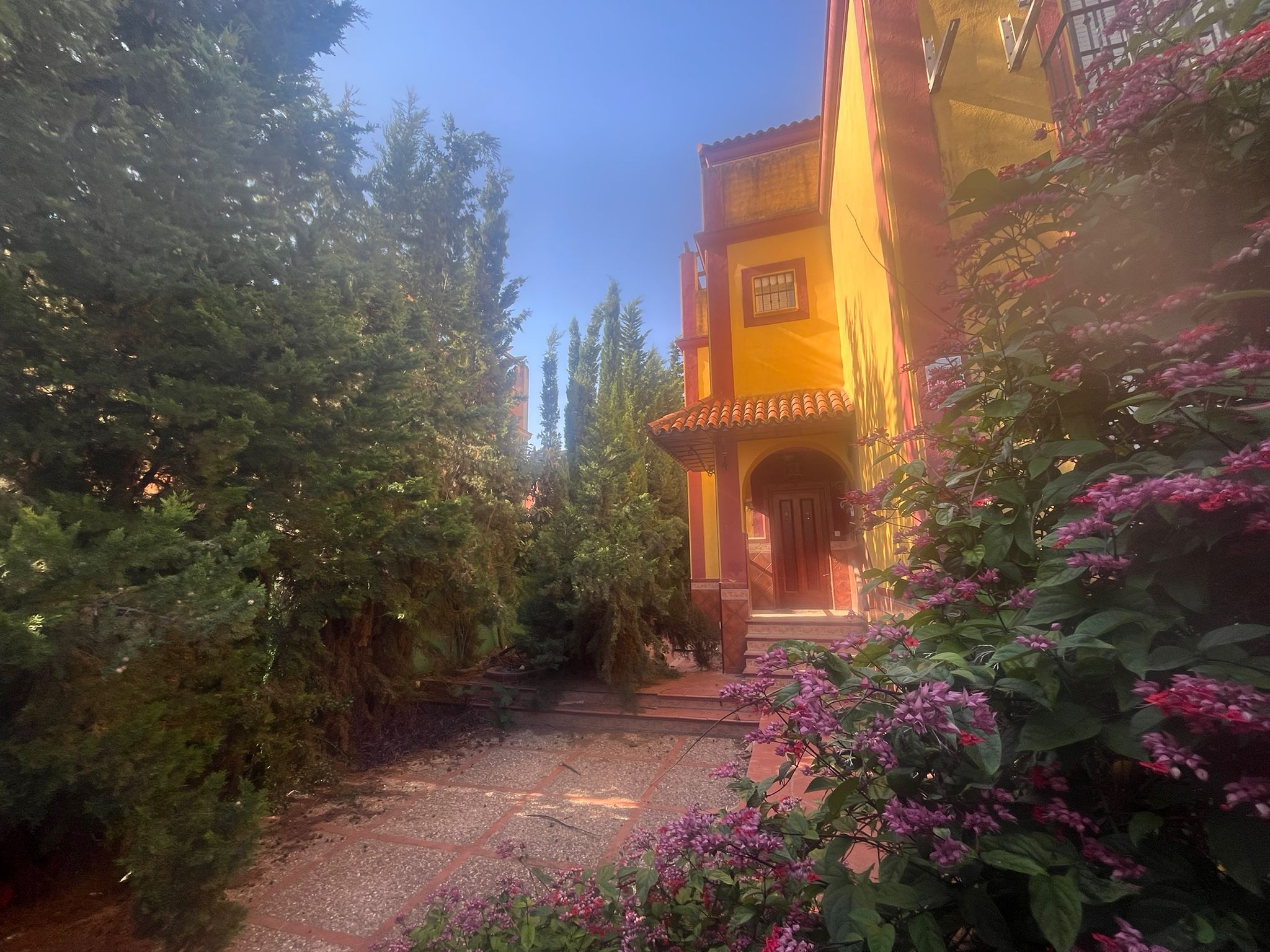 Jardín de Casa adosada en venta en Castilleja de Guzmán con Trastero, Piscina y Balcón