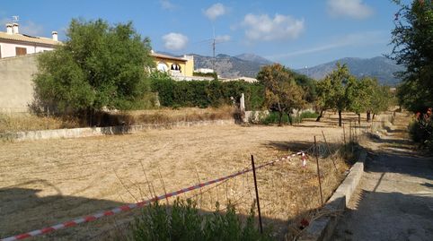 Solar en Moscari, immagine 2