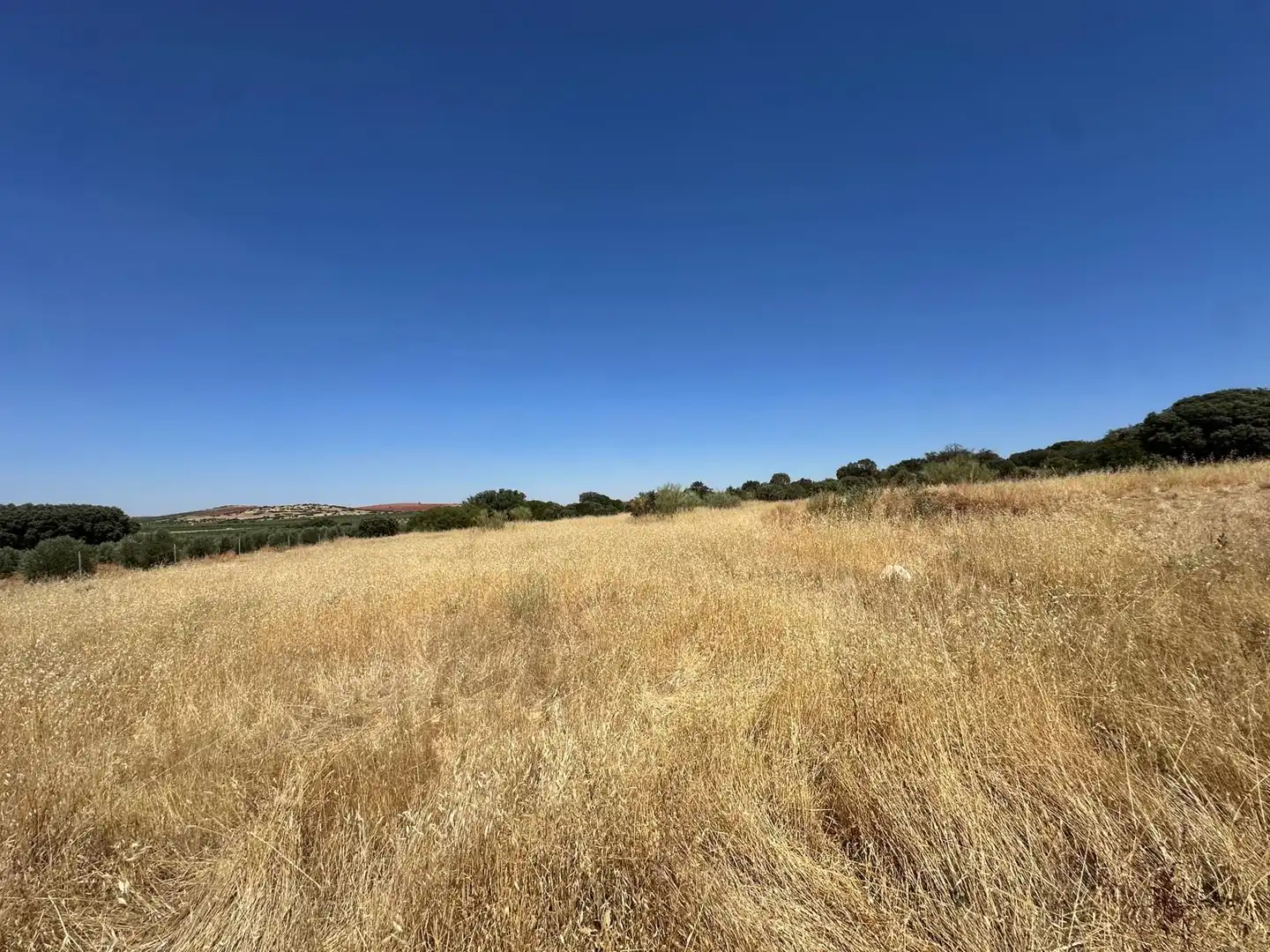 Rural land for sale in Carretera Valdepeñas-Ciudad Real, imagen 93