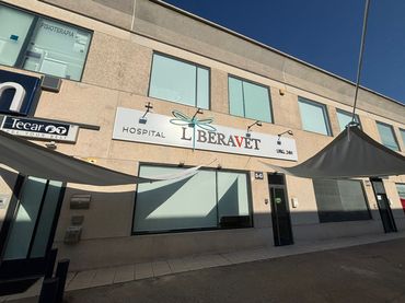 Business premises for sale in Calle Bruselas 5G