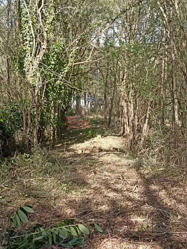 Casa o xalet en venda en Siero