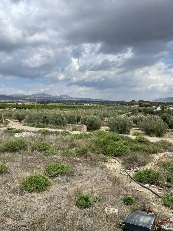 Terrenys i solars en venda a Huércal-Overa