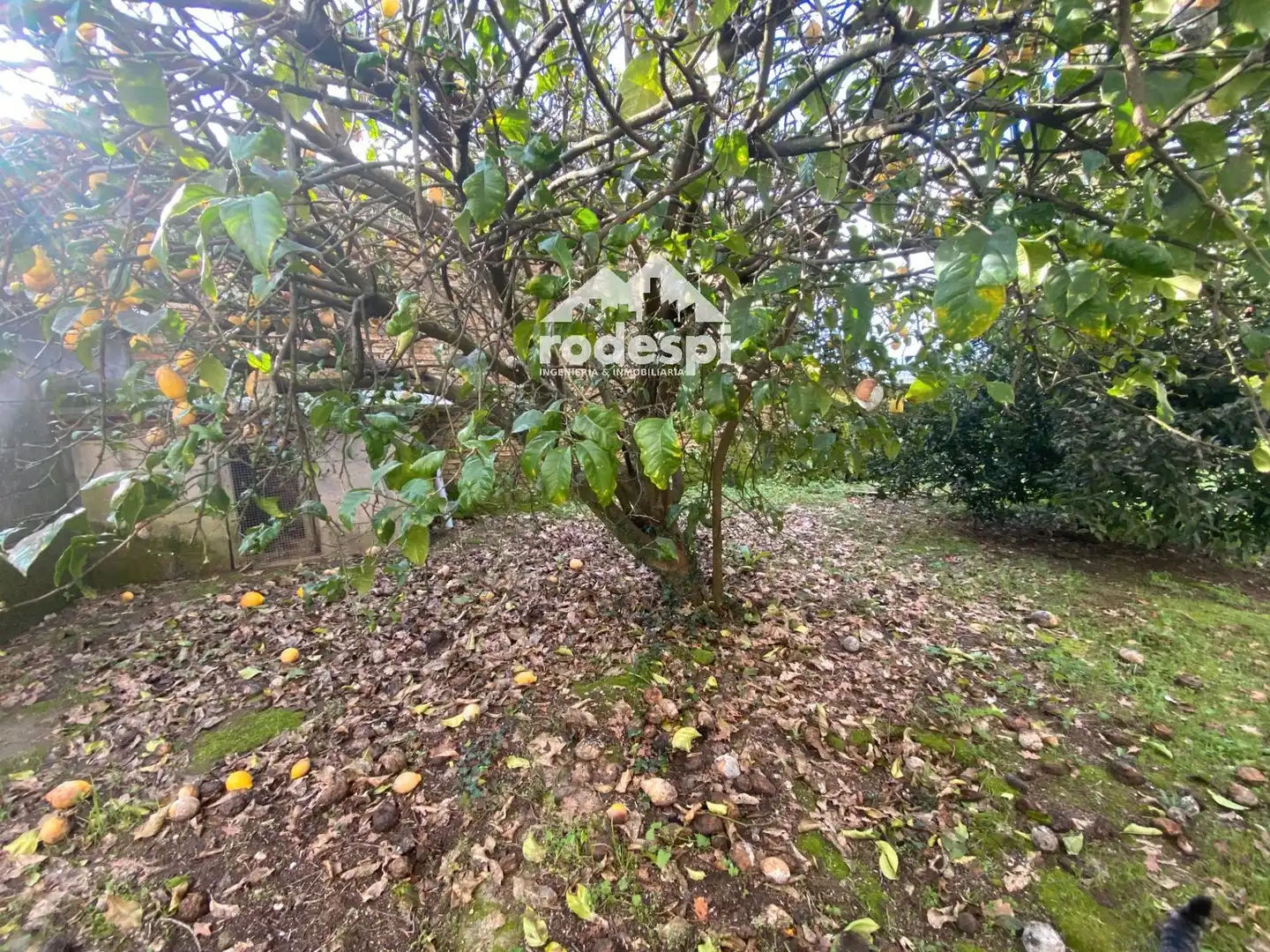 Houses for sale in Crecente  with Heating, Storage room and Swimming Pool