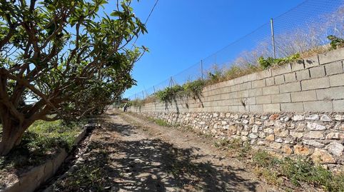SalobreñaFinca Rustica, imagen 3